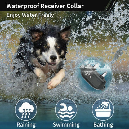 Smart Dog Training Collar - 