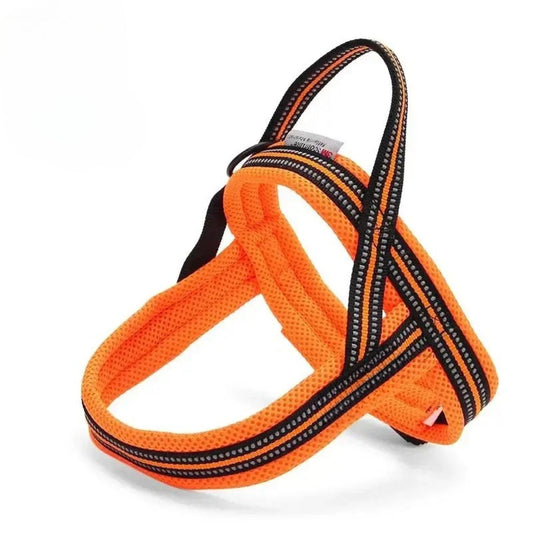 Everyday Harness - Orange