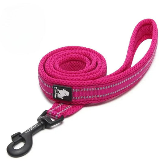 Reflective Soft Leash - Fuchsia