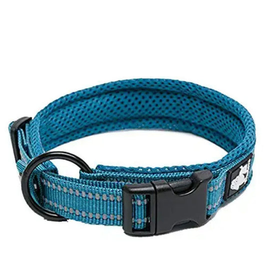 Reflective Collar - Blue