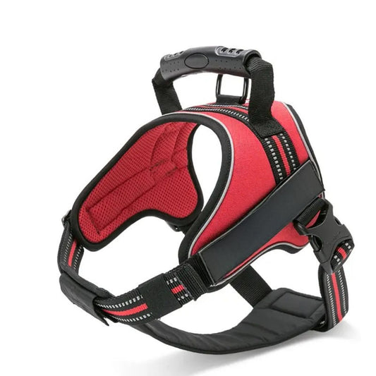 Adventure Harness - Red