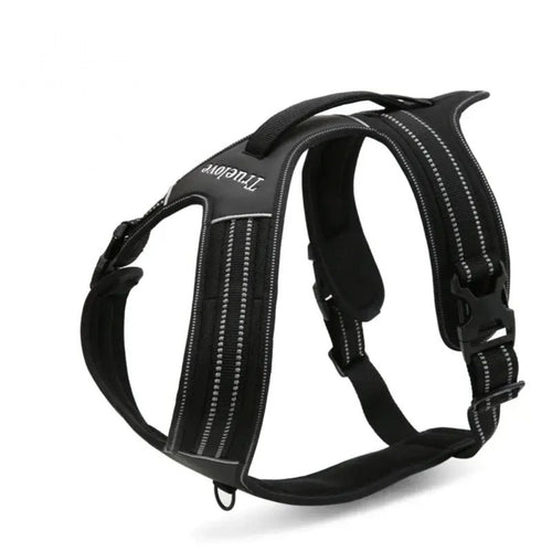 Reflective Sport Harness - Black