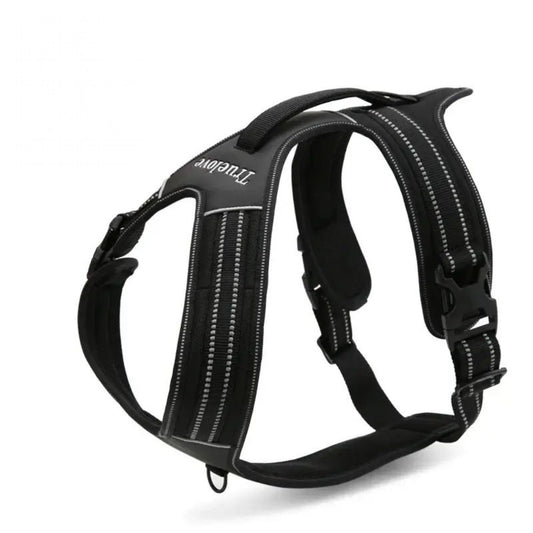 Reflective Sport Harness - Black