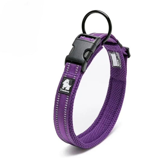 Mesh Control Collar - Purple