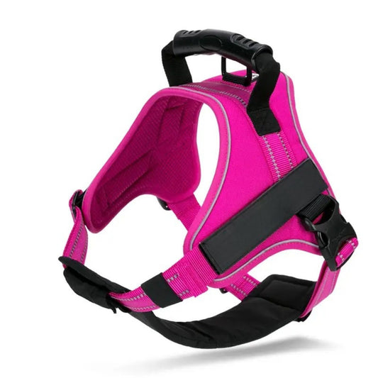Adventure Harness - Fuchsia