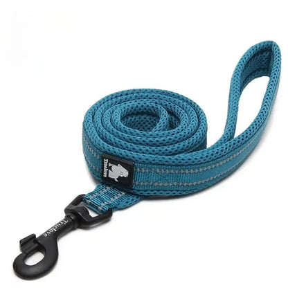 Reflective Soft Leash - Fuchsia