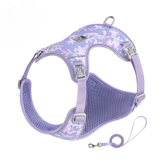 Breathe & Glow Set - Regal Orchid