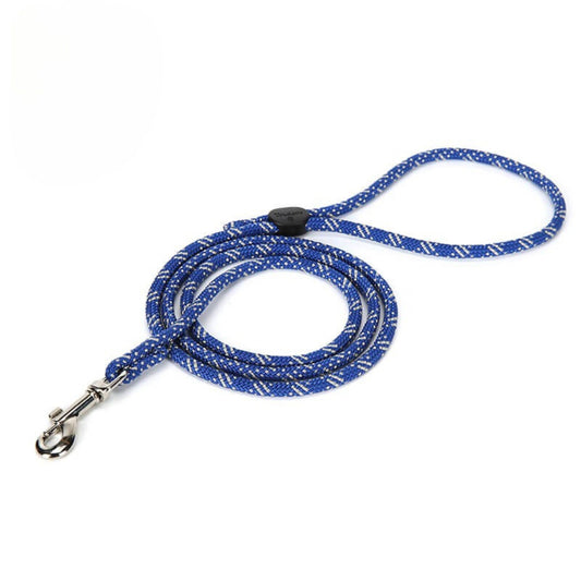 LightRope Leash - Royal Blue