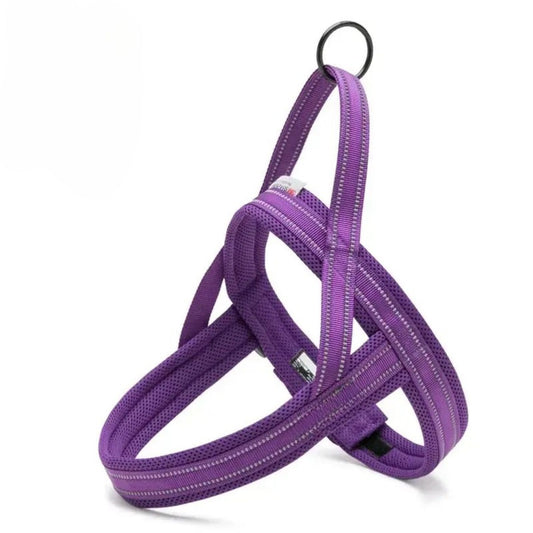 Everyday Harness - Purple
