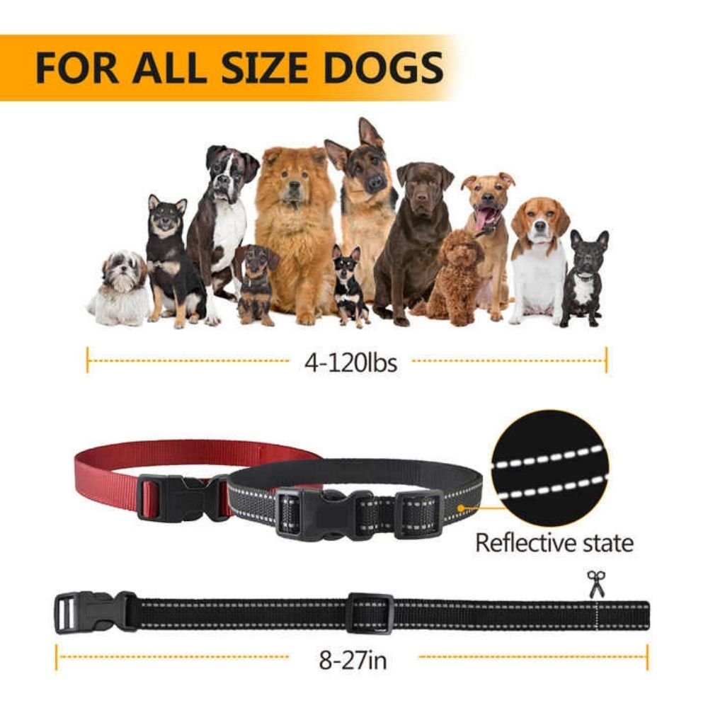 Smart Dog Training Collar - 