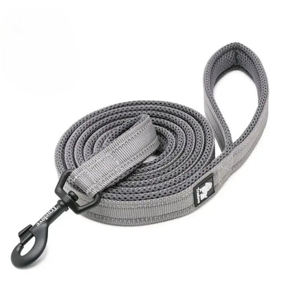 Reflective Soft Leash - Fuchsia