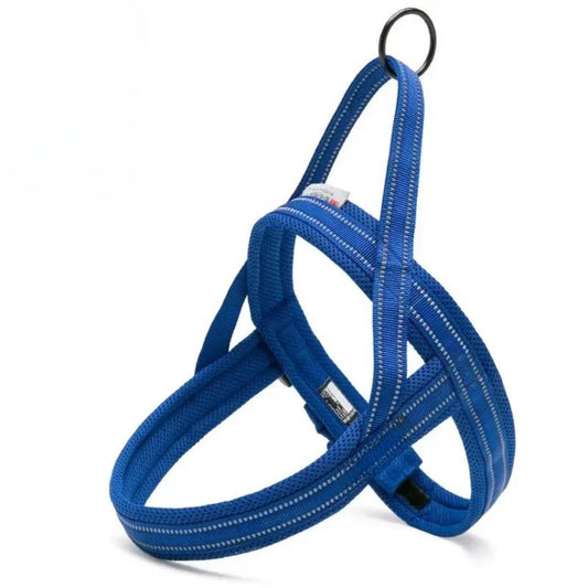 Everyday Harness - Royal Blue