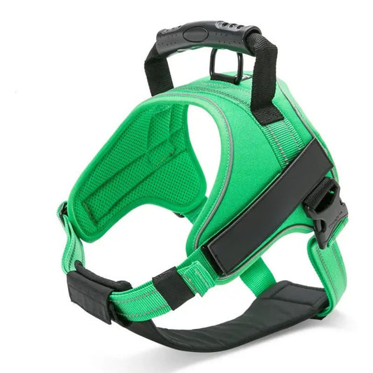 Adventure Harness - Grass Green