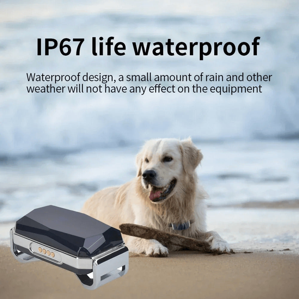 GPS Tracker Collar
