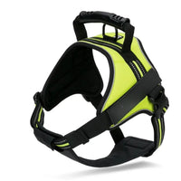 Neon Yellow