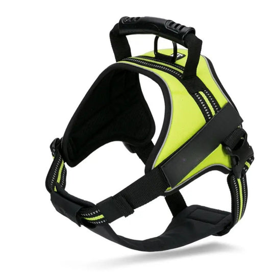 Adventure Harness - Neon Yellow