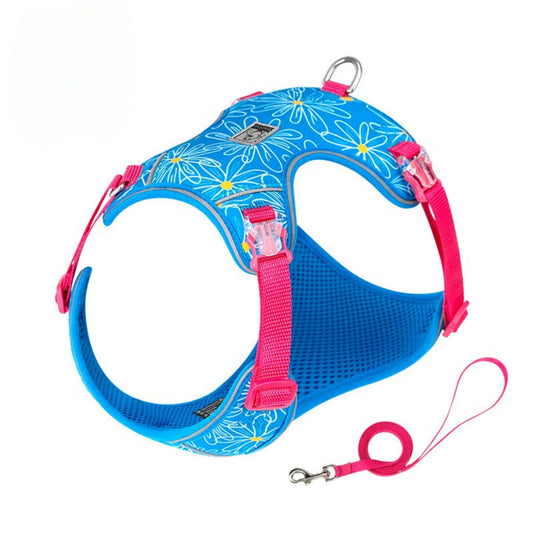 Breathe & Glow Set - Diva Blue