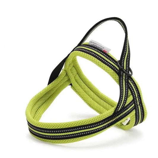 Everyday Harness - Neon Yellow
