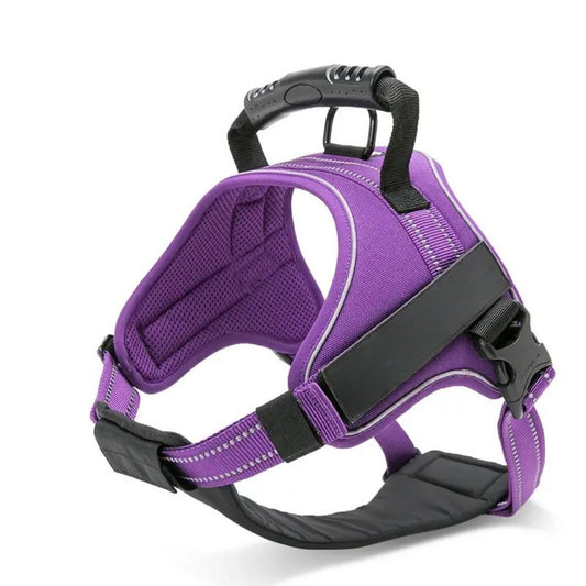 Adventure Harness - Purple