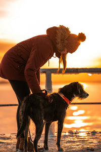 Woman bonding with dog during golden hour walk by the water